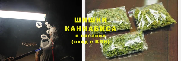 PSILOCYBIN Балахна
