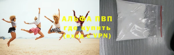 PSILOCYBIN Балахна